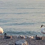 Appartamento Giuliva