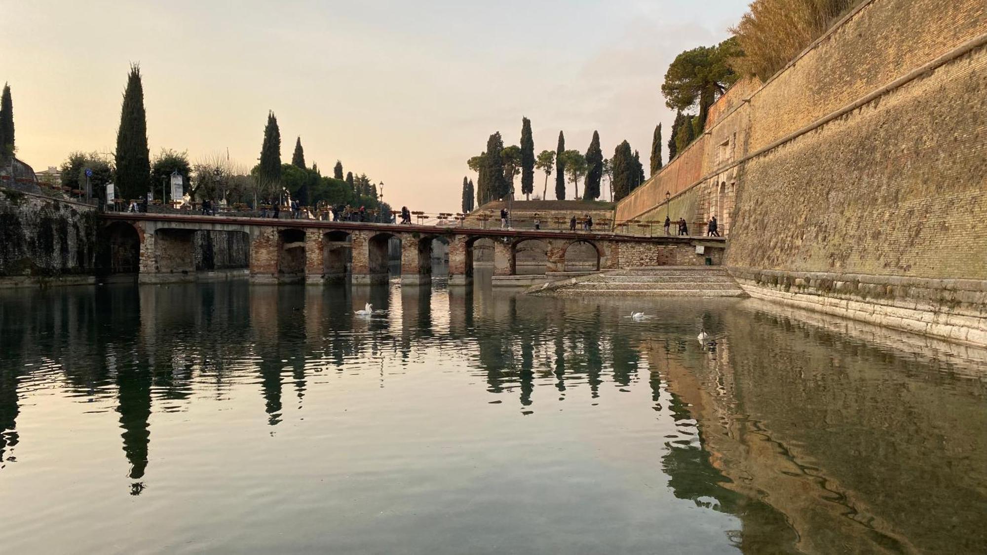 Giuliva